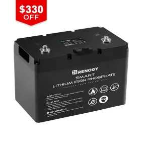 12V 100Ah Smart Lithium Iron Phosphate Battery