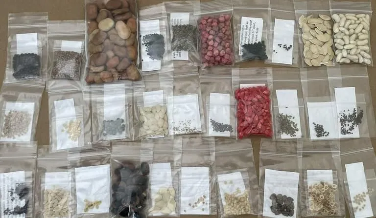 45 Vegetables Seeds (Pack of 45-450 Seeds)