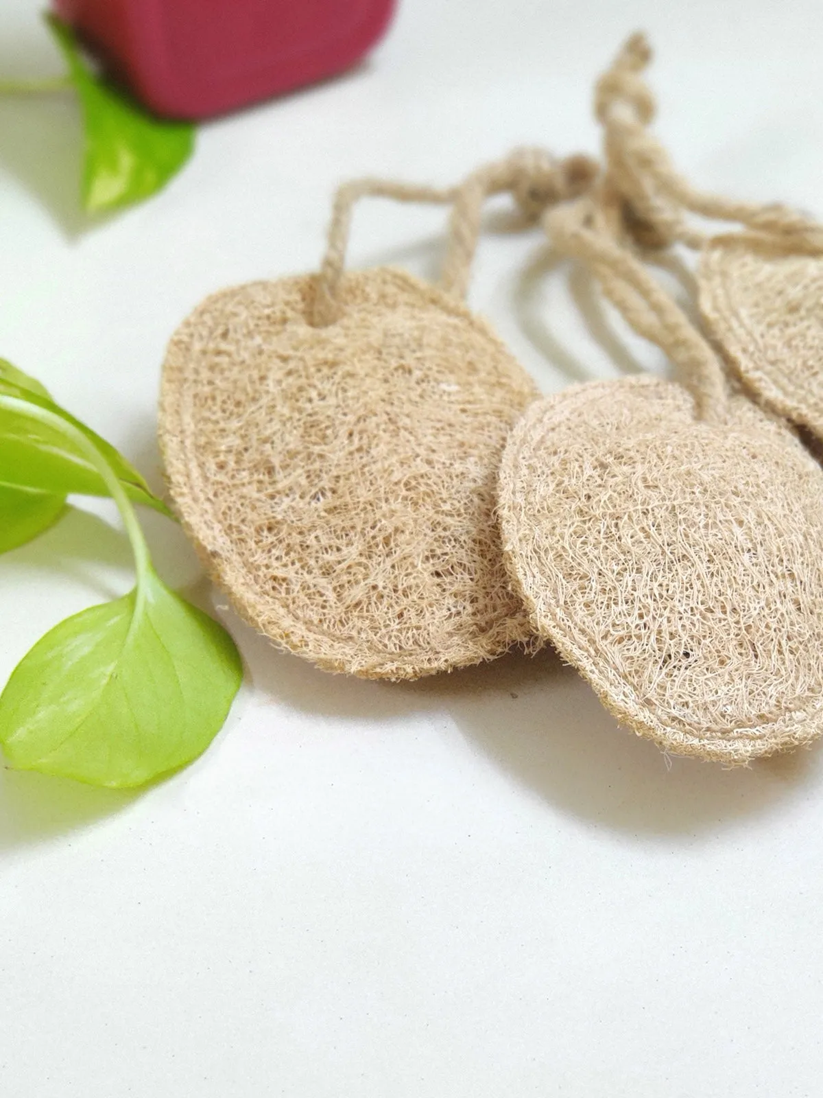 Natural Plant Based Bathing Sponge - Set of 5