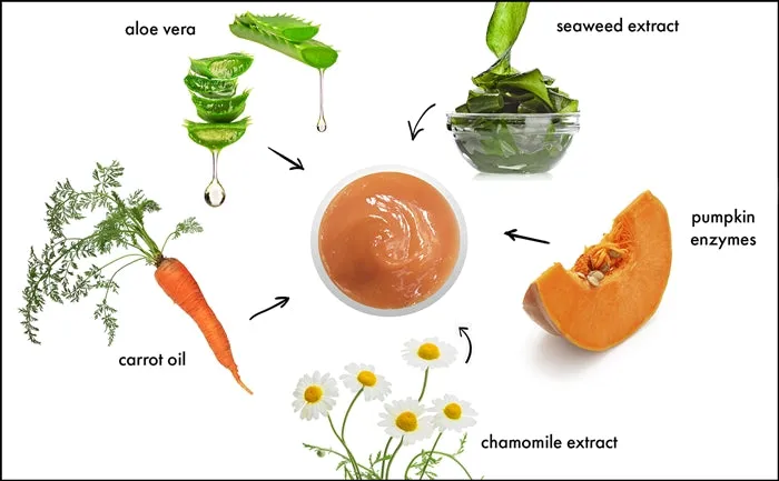PUMPKIN ENZYME PUREE (127) RAYA SPA