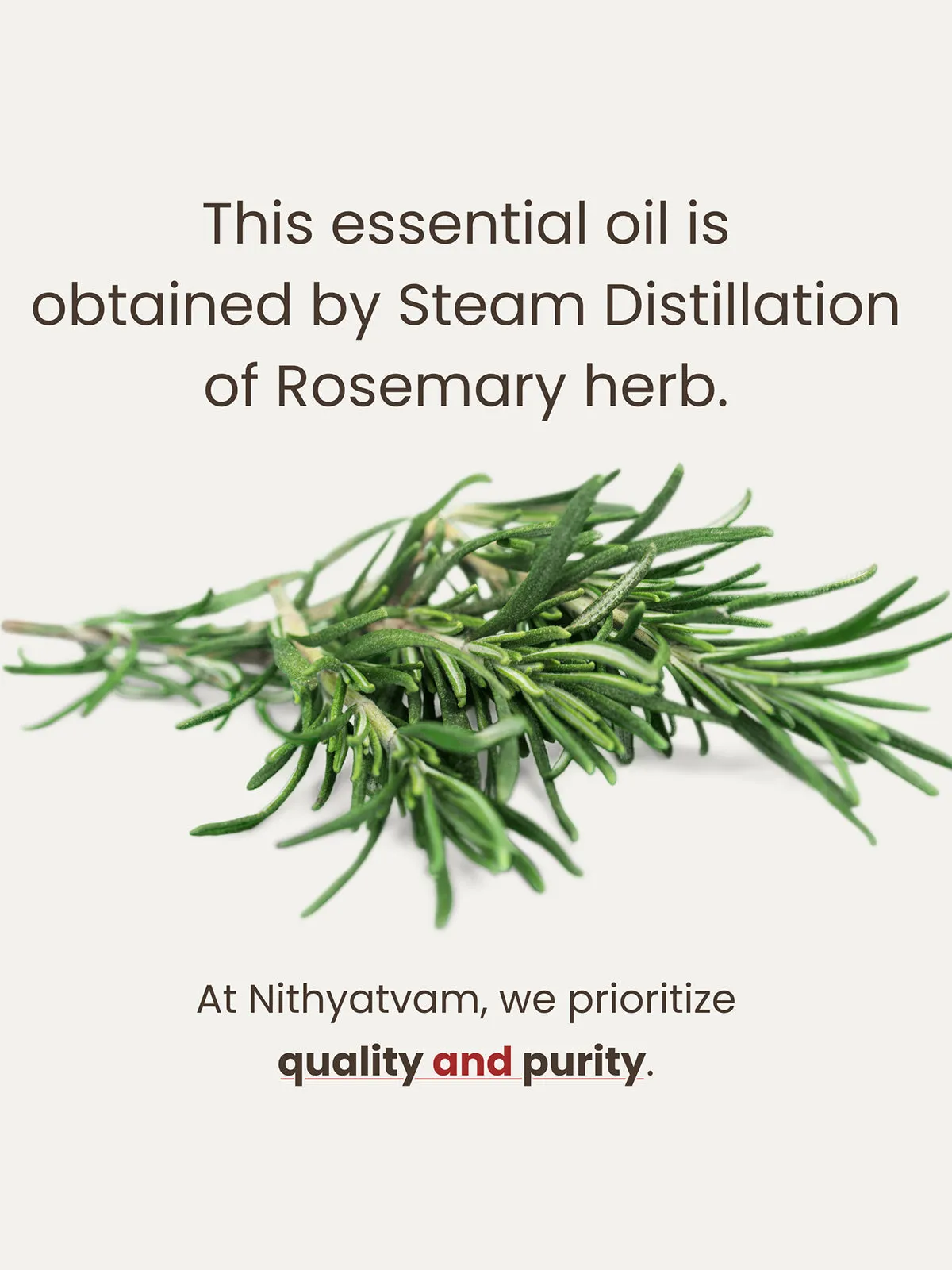 Rosemary Essential Oil